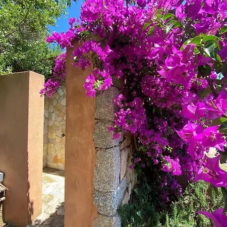 Villa Erica A Valle Dell Erica